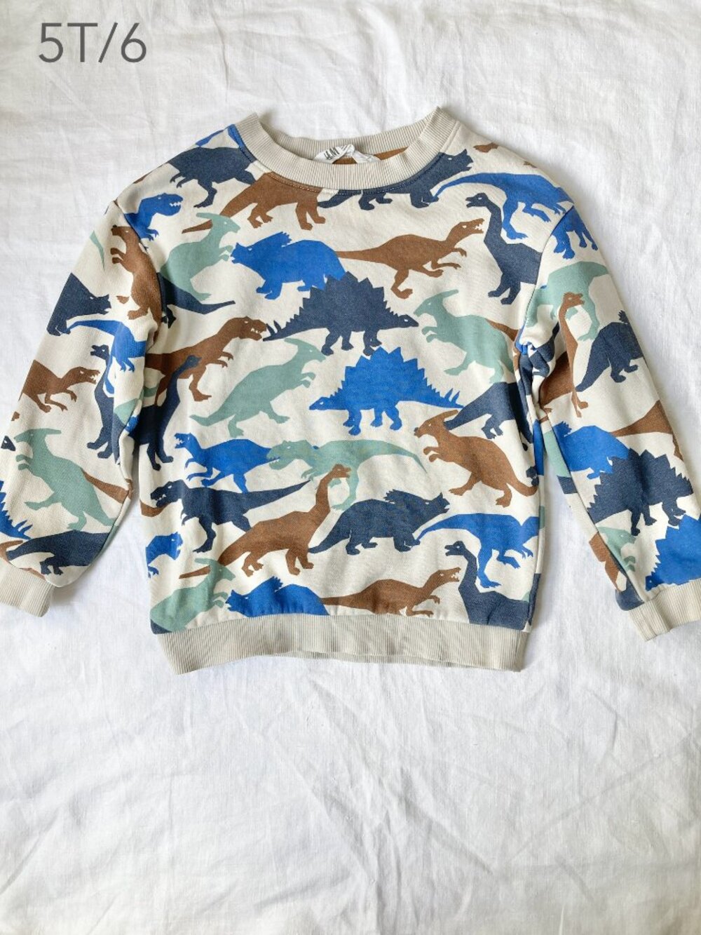 🪴5/$30 H&M 5T/6 Boy Kid Cream Blue Dinosaur Crewneck Sweatshirt Fall